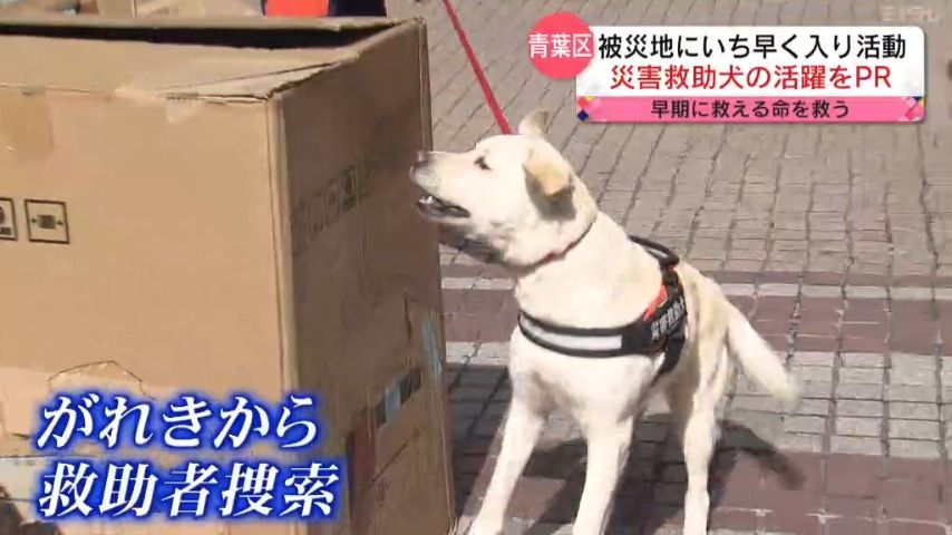 人との絆も重要、災害救助犬の活躍をＰＲ（宮城）