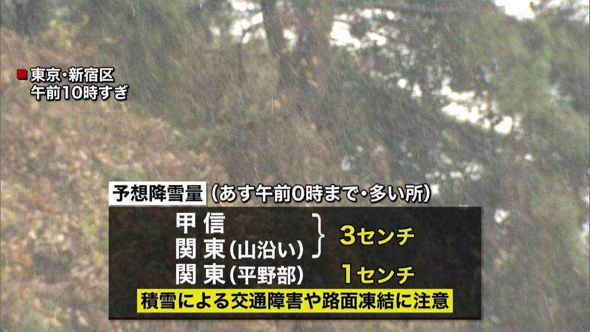 関東甲信で雪や雨　神奈川では大雪の所も