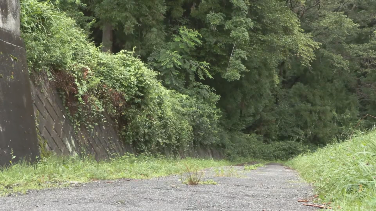 散歩中にクマに襲われ80代男性けが　顔を引っかかれる　飯田市の若葉公園付近　市が注意呼び掛け　