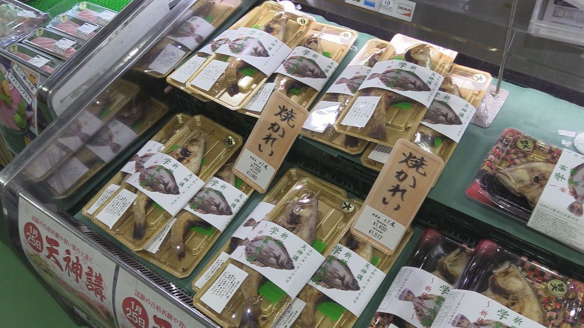 焼き魚も刺身も絶品の「越前がれい」　市場で販売スタート　25日の天神講を前に