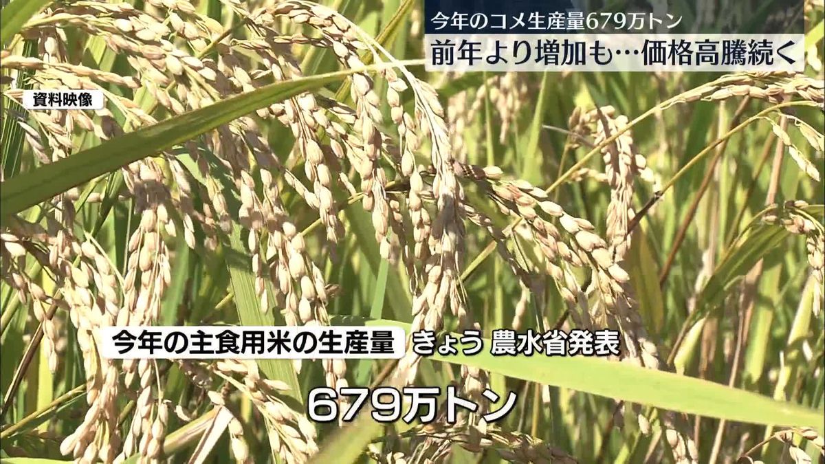 主食用米の生産量を下方修正　今年の生産量679万トン　前年よりは増加