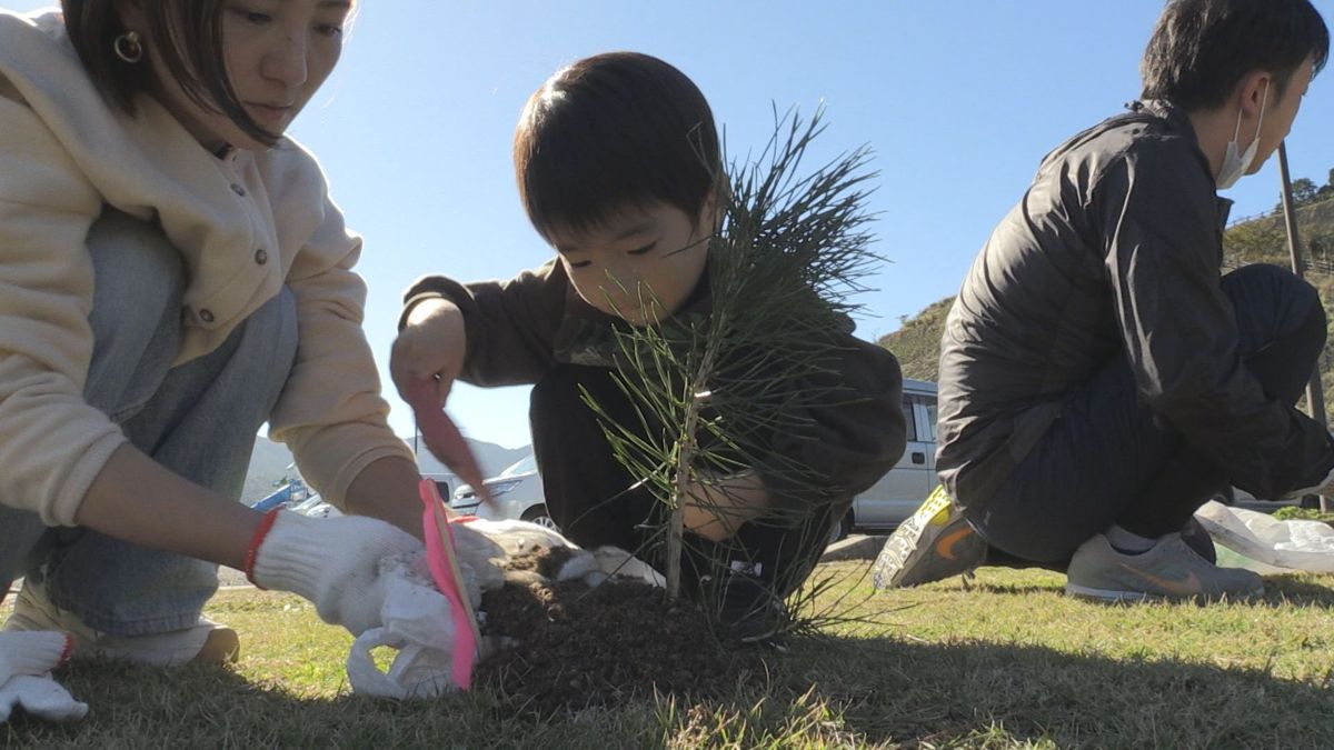 松枯れから景観再生へ　高浜で住民が抵抗性マツ植樹　FBCの「ずーっと、福井で。」キャンペーン