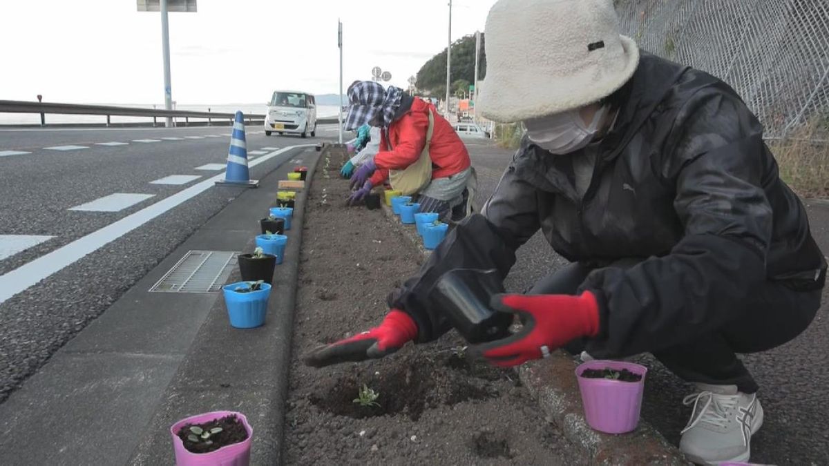 海岸沿いの国道を“花街道”に三重・熊野市