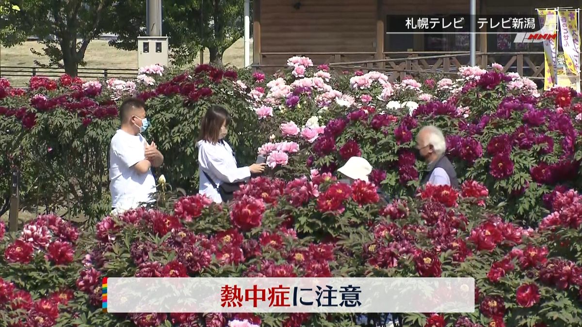 気温上昇…北日本で30℃以上の真夏日も　熱中症に注意
