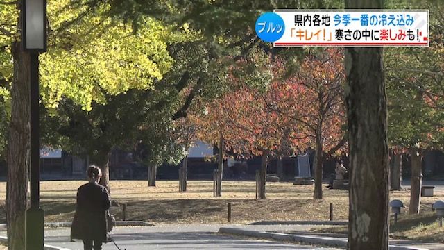 県内各地で今シーズン一番の冷え込み 松山で最低気温6.2℃ 紅葉への影響は【愛媛】