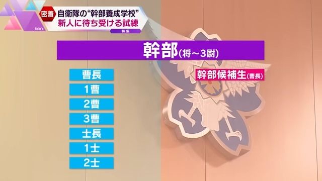 幹部候補生は、いきなり『曹長』に