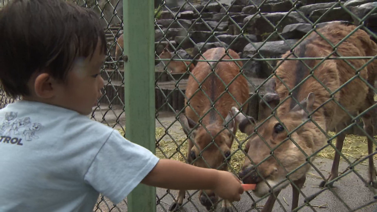 『岡崎市東公園動物園』の様子