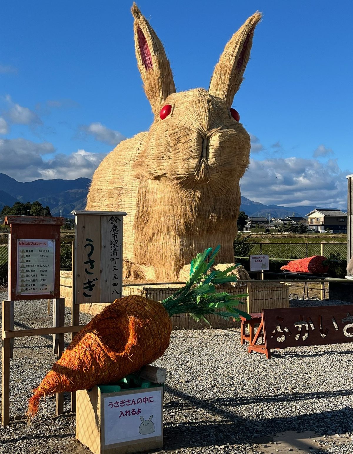 今年は大きなニンジンも配置（写真提供／深伊沢地域づくり協議会）