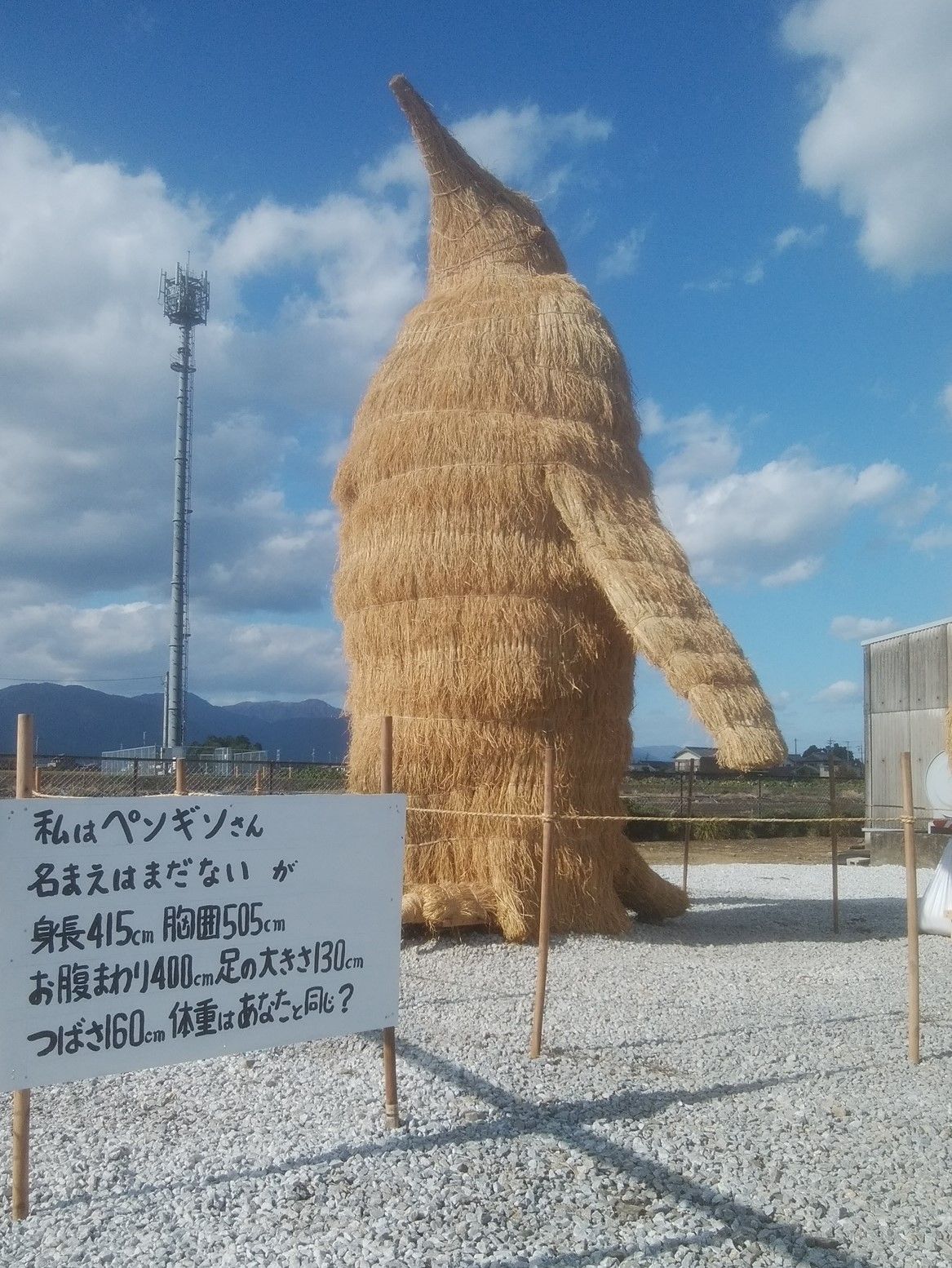 １年目に作られた「ペンギン」（写真提供／深伊沢地域づくり協議会）