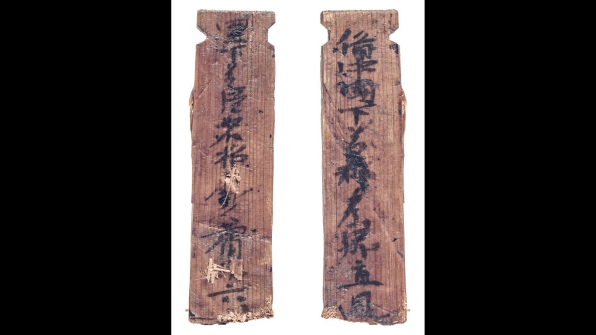 奈良・平城京跡から1300年前の「大嘗祭」木簡が大量出土　大半が備中からの荷札　深まるナゾ