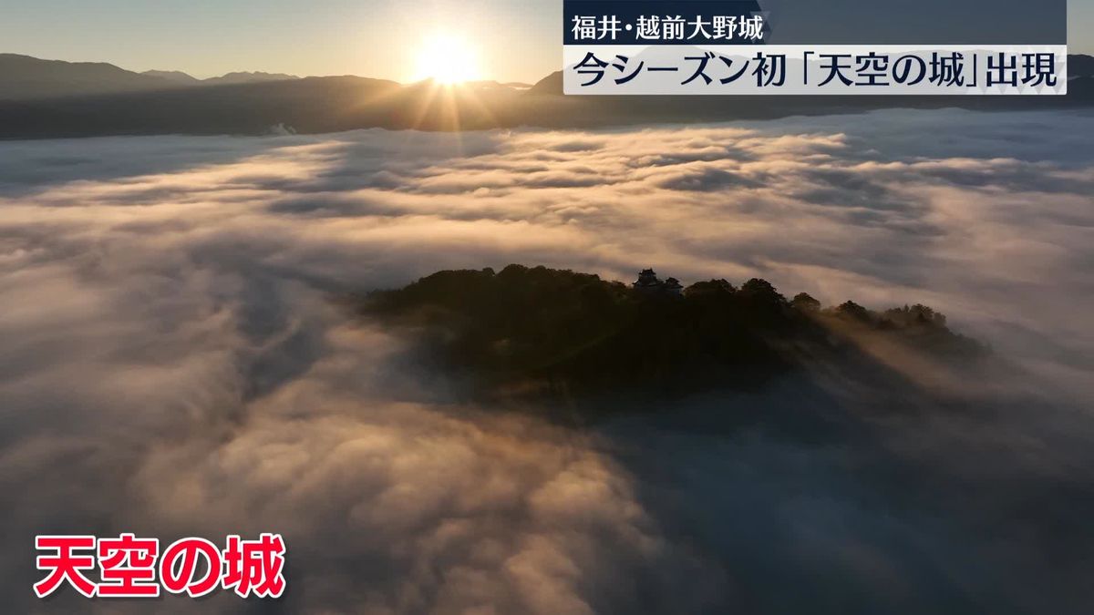 今シーズン初「天空の城」出現　福井・越前大野城