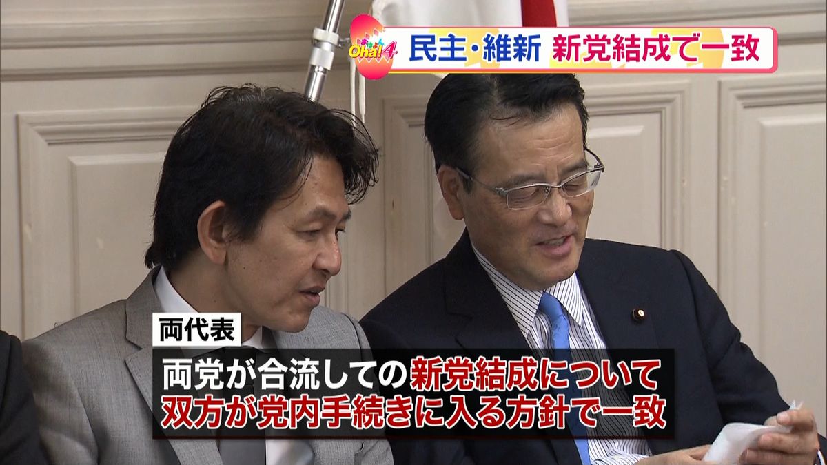 民主・維新が合流し新党結成で党内手続きへ