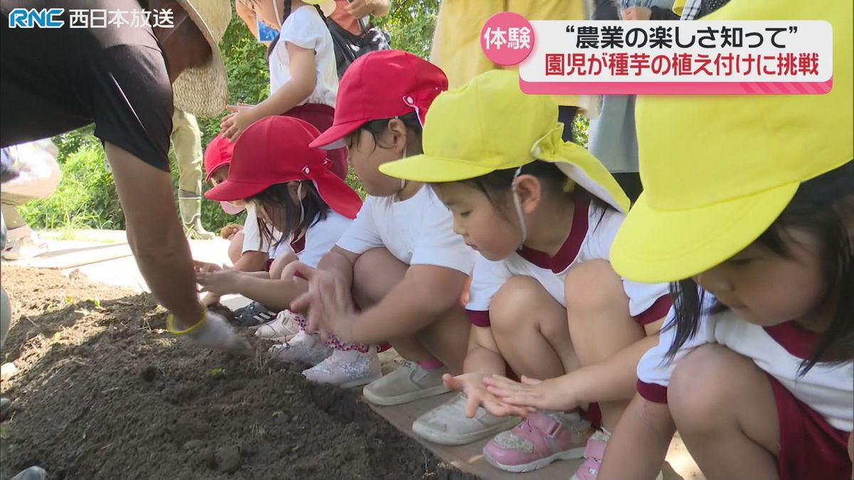 「ジャガイモを育てよう！」種芋の植え付け　園児が挑戦