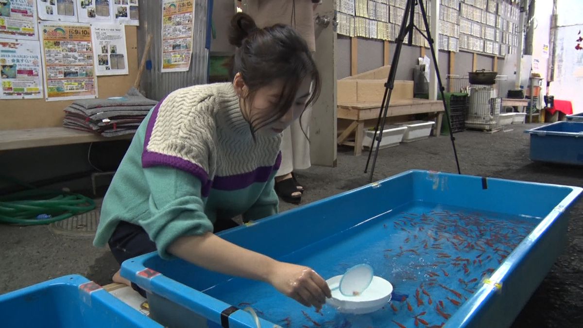 “金魚すくい”で大学合格　道場で技磨く