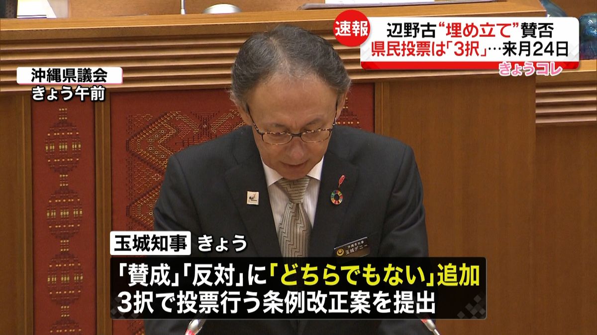 辺野古“埋め立て”県民投票　３択で実施へ