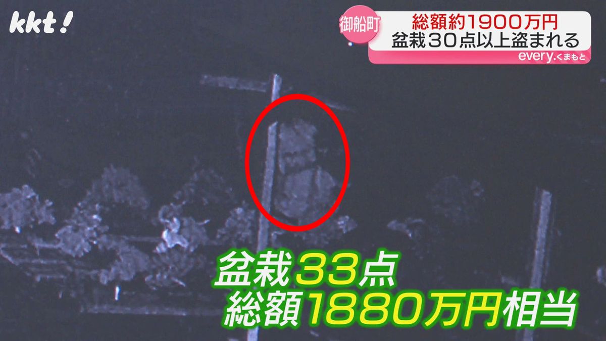 【犯行の瞬間映像】夜中に盆栽30点以上窃盗 被害総額1880万円相当