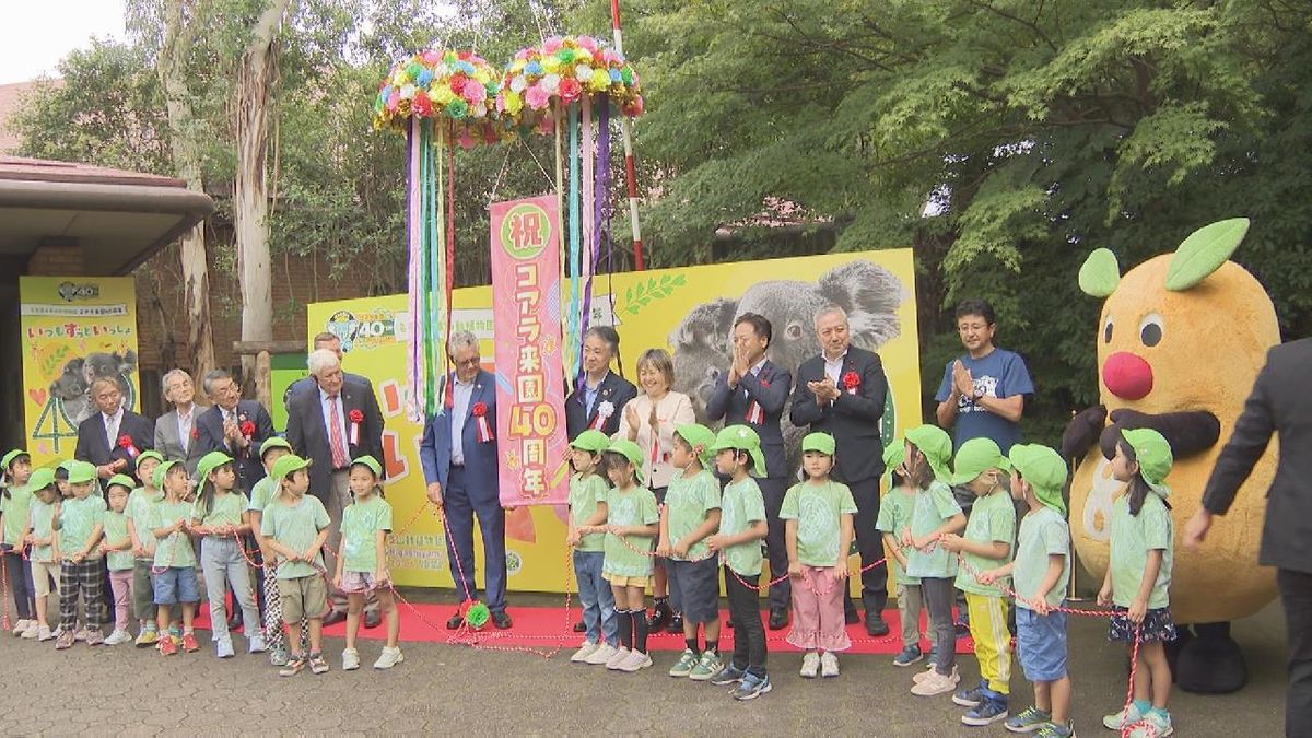 コアラ初来日から40周年　東山動植物園で記念式典　10月25日には2歳のオスのコアラ「スカイ」公開予定　名古屋市