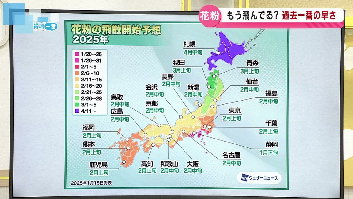 新潟県の花粉シーズン入り　平年より早く、量多い予想