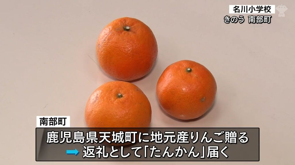 鹿児島の「たんかん」給食に　南部町産りんごの返礼