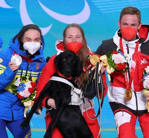 オーストリアの金メダリスト　表彰台で一緒に盲導犬と記念撮影「（うちの子は）中国の国家主席より有名かも」