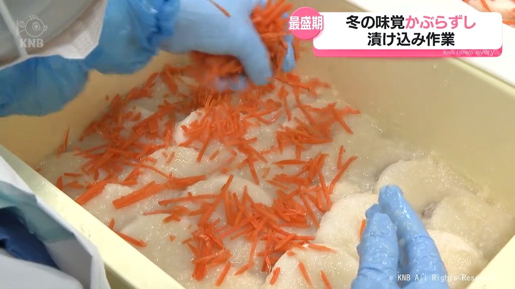 【特産】冬の味覚かぶらずし　漬け込み最盛期　富山県南砺市