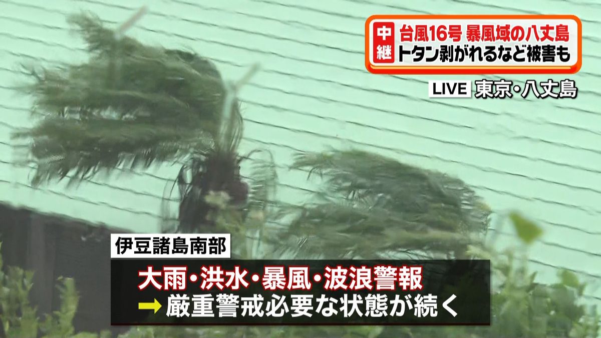 台風１６号　八丈島でトタン剥がれる被害も