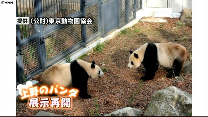 上野動物園、２８日からパンダの展示再開