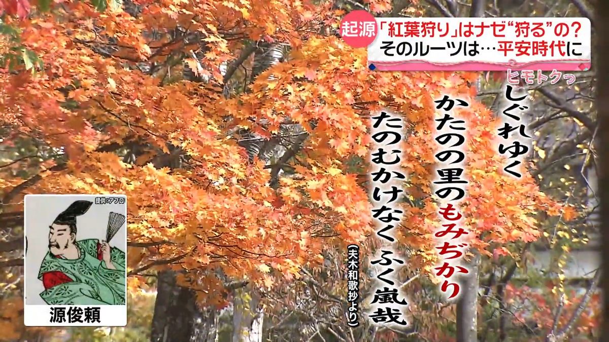 秋本番！　見て楽しむのに…なぜ紅葉“狩り”？　ルーツは平安時代に