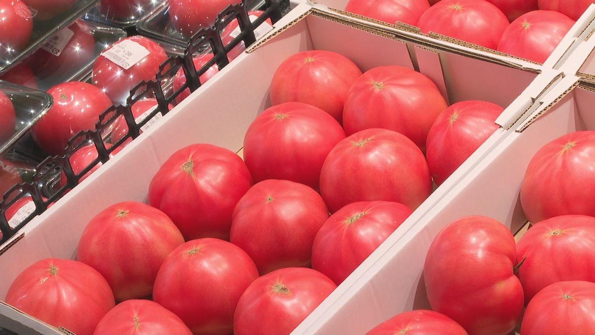 キャベツ600円→200円　トマトじわり値上げ　野菜の値段の乱高下続く　山形市内のスーパーで聞く