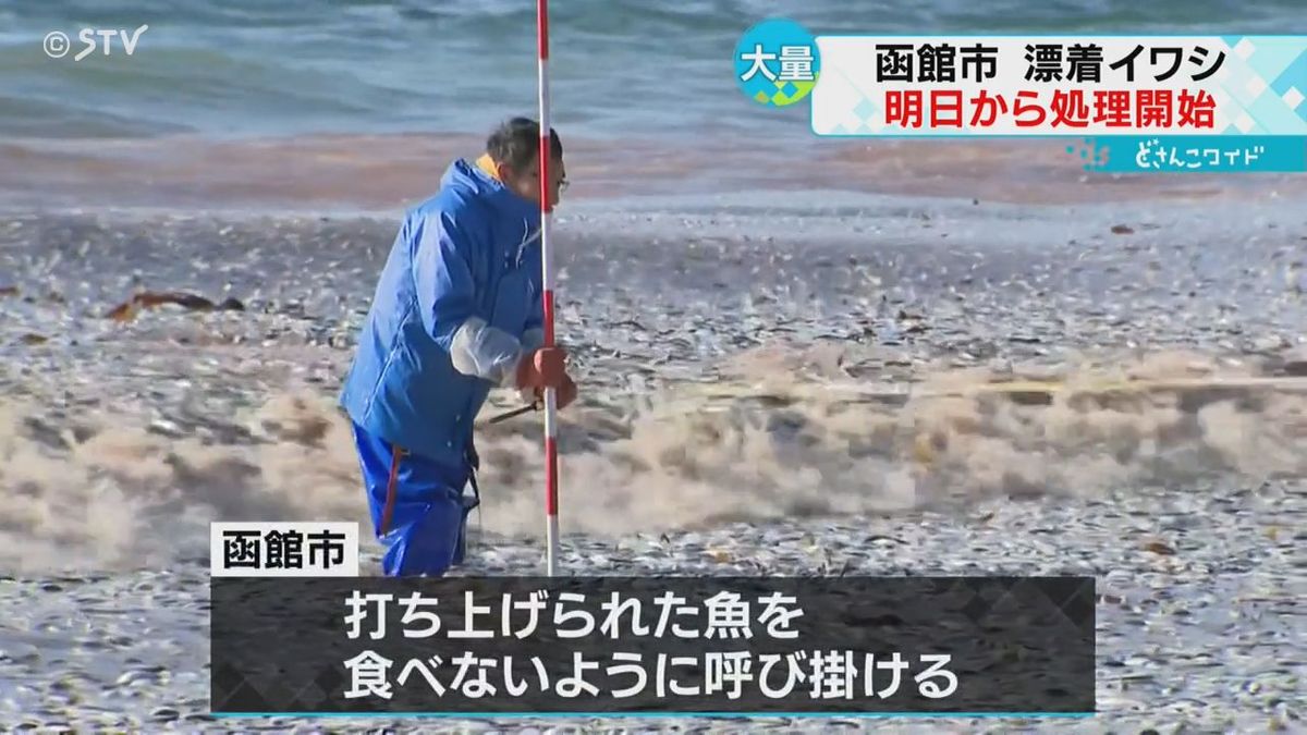 ９日から魚の撤去作業　焼却処分も完了のめど立たず　海岸にイワシ大量漂着　北海道函館市
