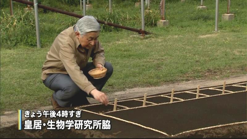 今年も皇居で稲作　天皇陛下が「お手まき」