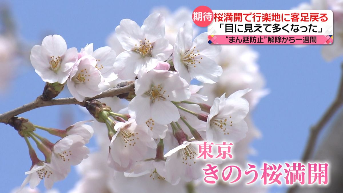 桜満開で戻る客足…新生活で引っ越し需要も高まる　“まん延防止”解除から1週間