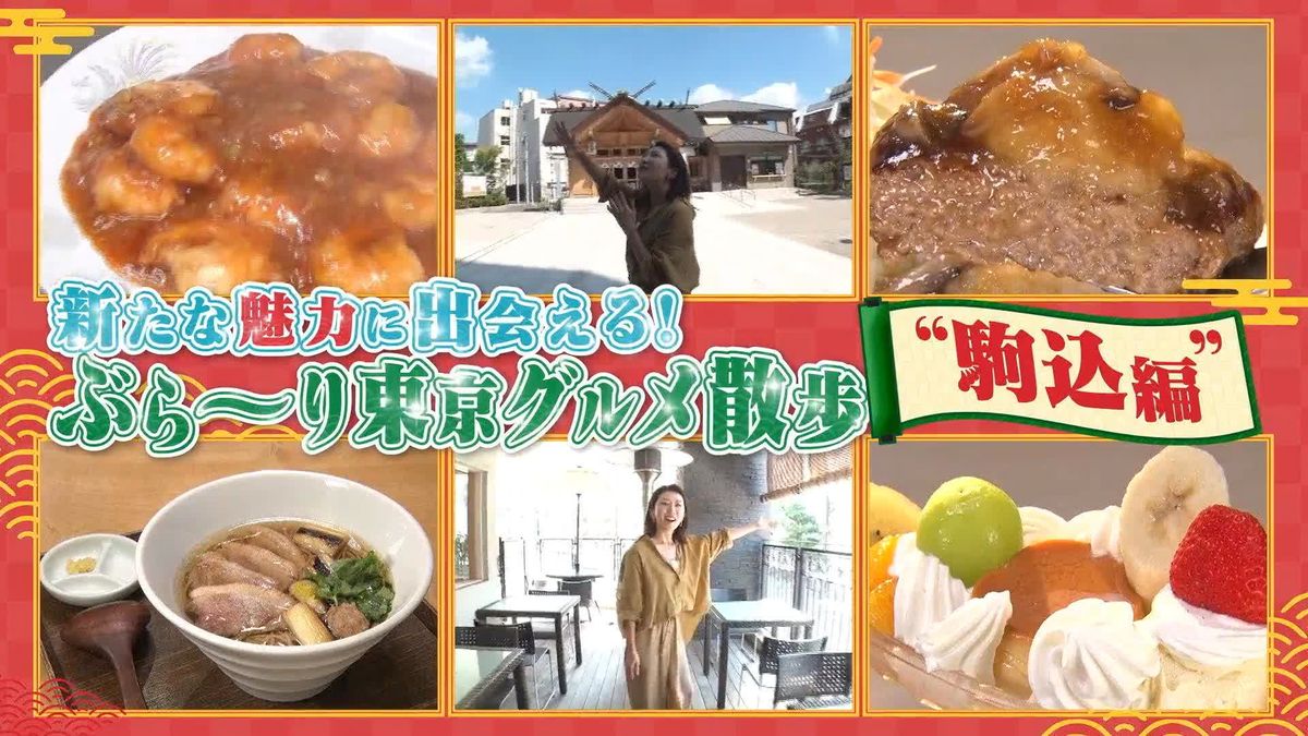 新たな魅力に出会える　ぶら～り東京グルメ散歩6　意外と知らない「駒込」を深掘り！『every.特集』