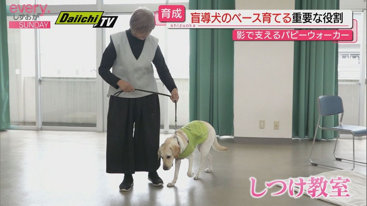 【盲導犬候補を育てる】パピーウォーカーの10か月に密着（静岡・掛川市）