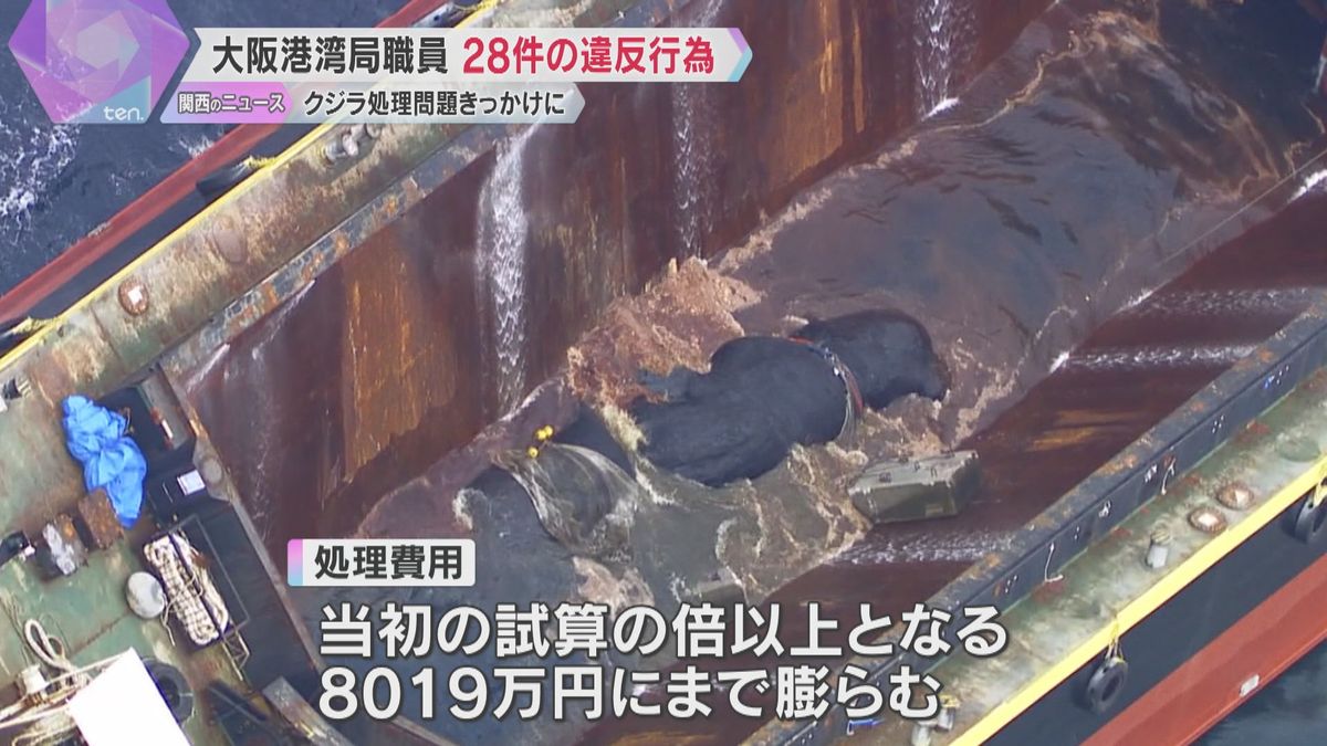 大阪港湾局職員、28件の違反行為確認　クジラの「淀ちゃん」の処理費用が膨らんだ問題をきっかけに