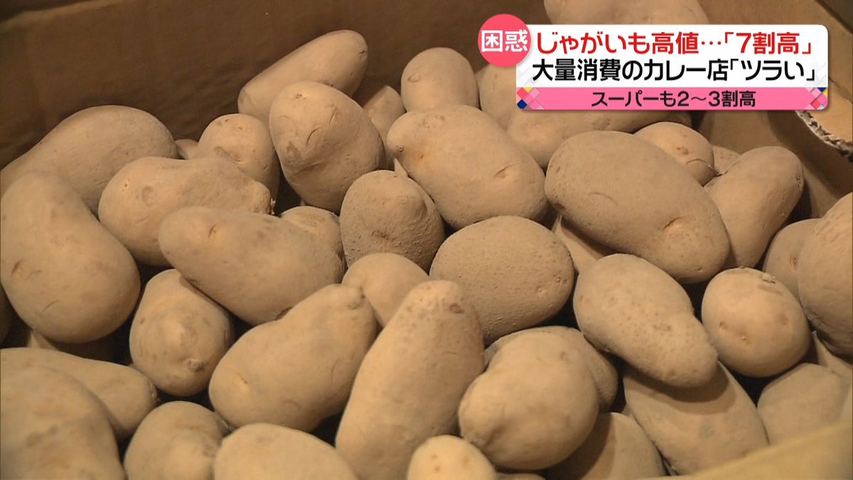 じゃがいも高値…産地で何が　今後の価格は