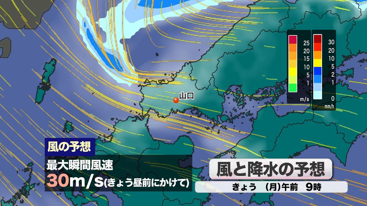 風と降水の予想