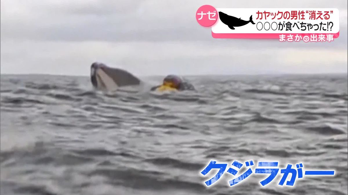 カヤックの男性、突然現れたクジラにのみ込まれて…　チリ