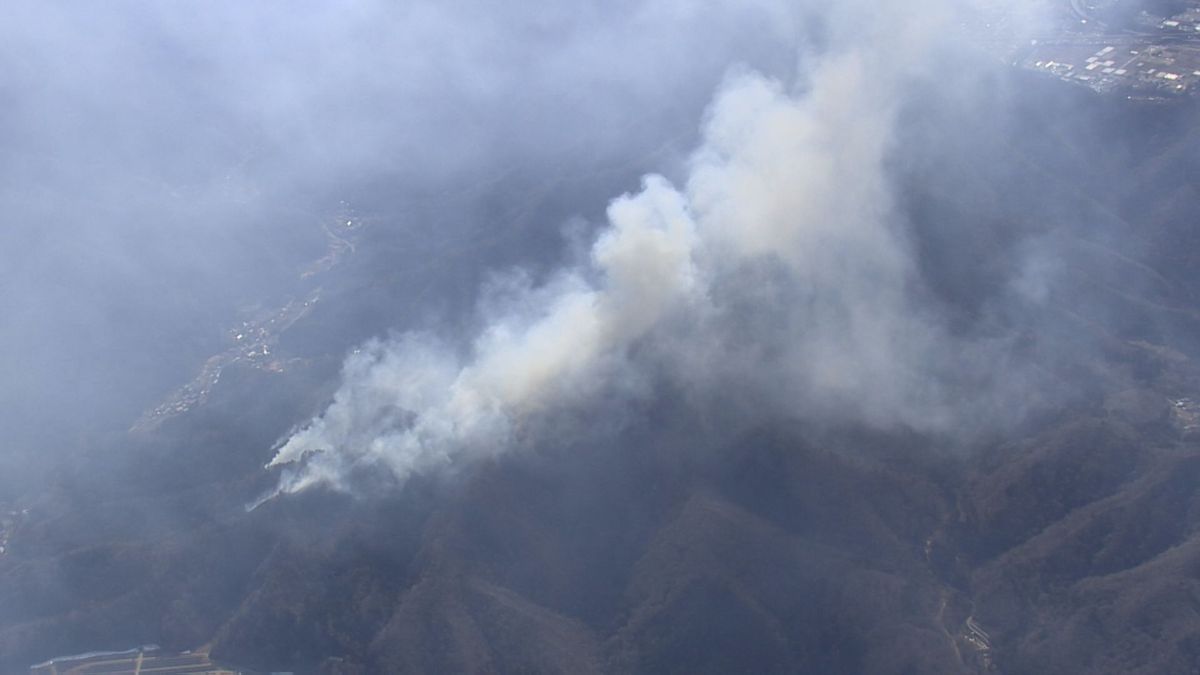 大月の山火事 4日目も火の勢い衰えず 焼失面積100haに拡大 消火活動続く 山梨　