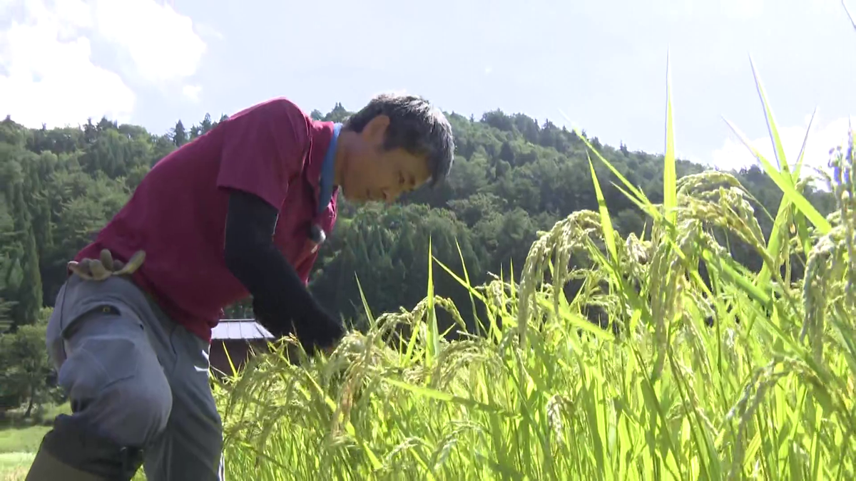 『大田ファーム』の大田剛之さん