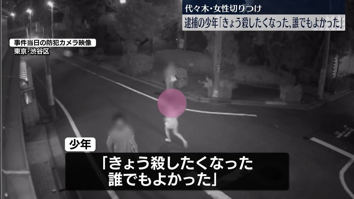 逮捕の少年「きょう殺したくなった、誰でもよかった」　代々木・女性切りつけ