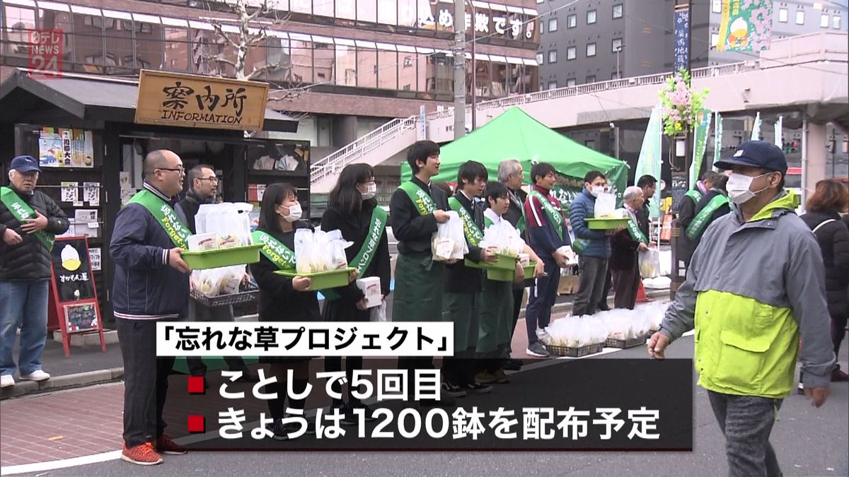 震災忘れないで…　高校生「忘れな草」配布