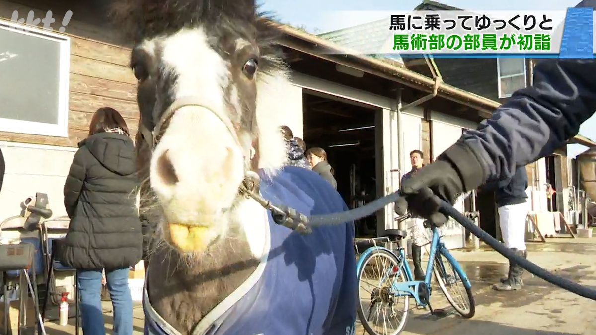 隊列を組み町の中をゆっくりと移動 南稜高校馬術部の部員が馬に乗って初詣