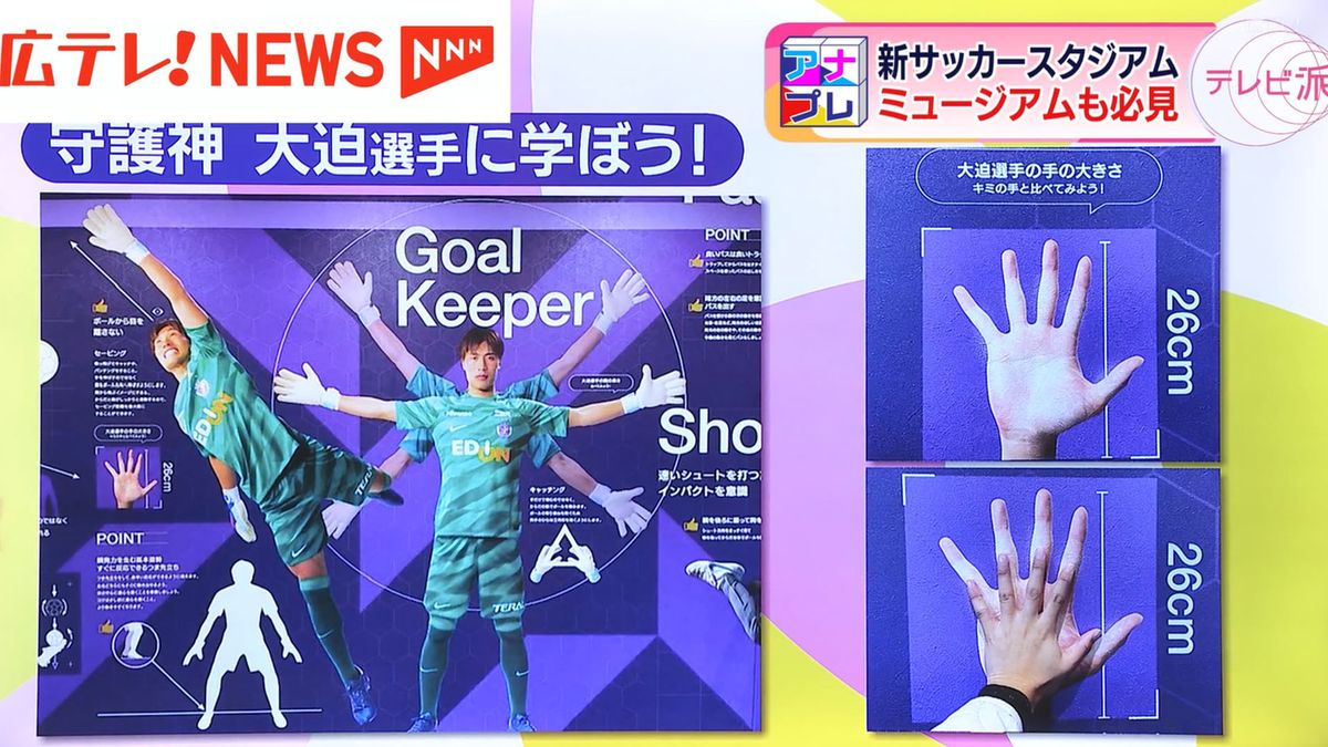 木村アナの手と比べると、大迫選手の手の大きさは一目瞭然！
