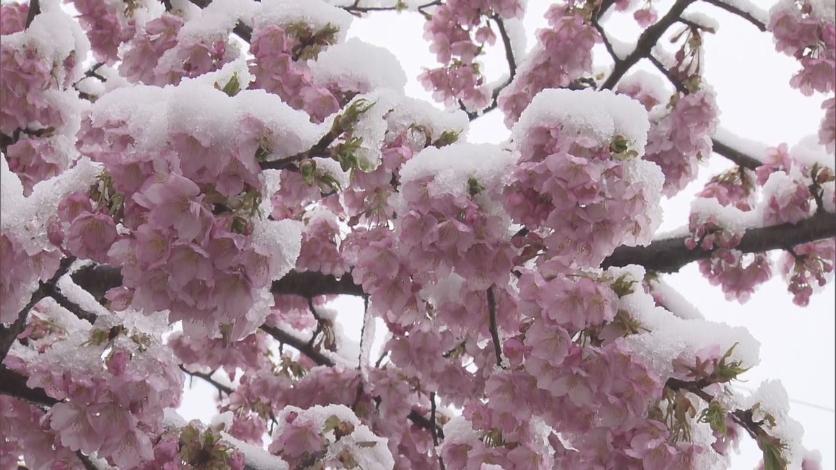 【気象台】福岡と佐賀で大雪の恐れなくなる