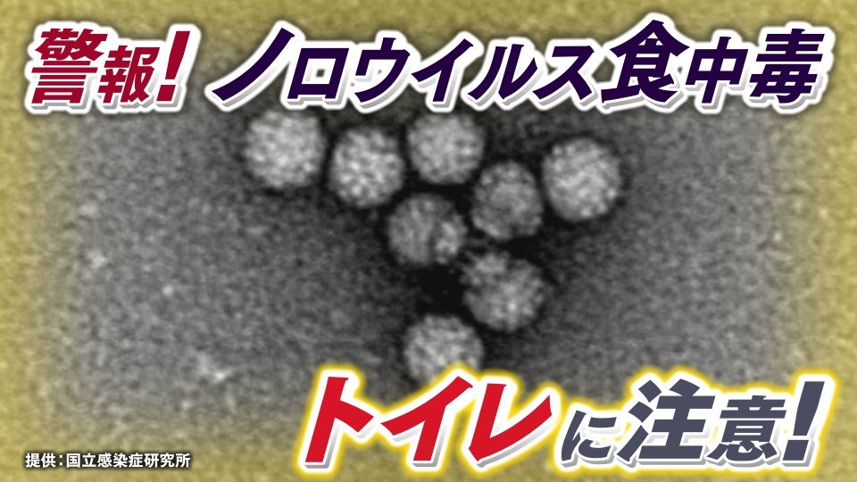 ＜ノロウイルス＞感染ピークは春まで!?　“要注意”なのはトイレに持ち込みがちなスマートフォン