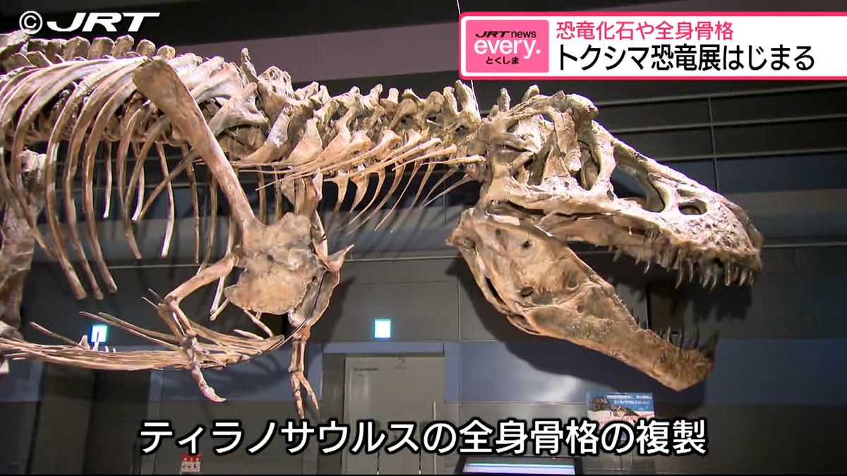 トクシマ恐竜展始まる　勝浦で恐竜の化石が見つかってから30年 【徳島】