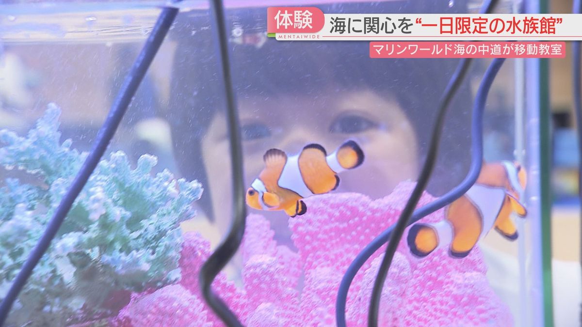 子どもたちが海の生き物とふれあい　ヒトデ・ヤドカリにタッチ！　糸島の特別支援学校に一日限定の水族館　福岡　