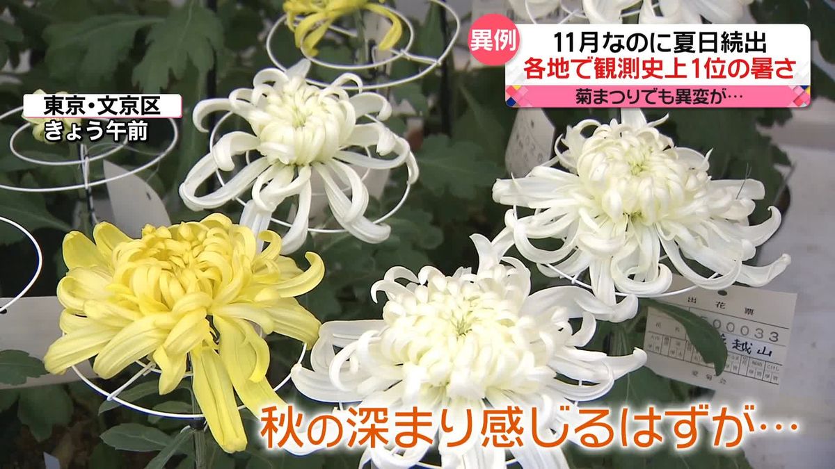 各地で観測史上1位の暑さ　あすから3連休…“暑い秋”どう楽しんでいますか？