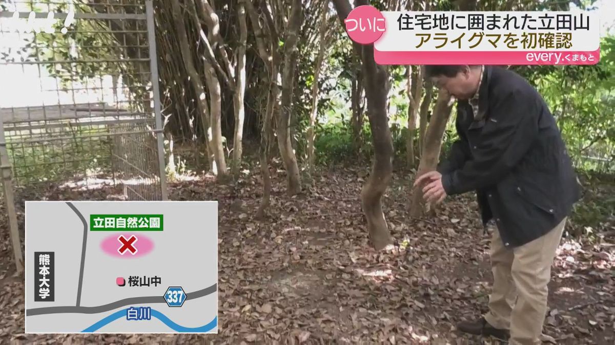 アライグマが撮影された場所(立田山)